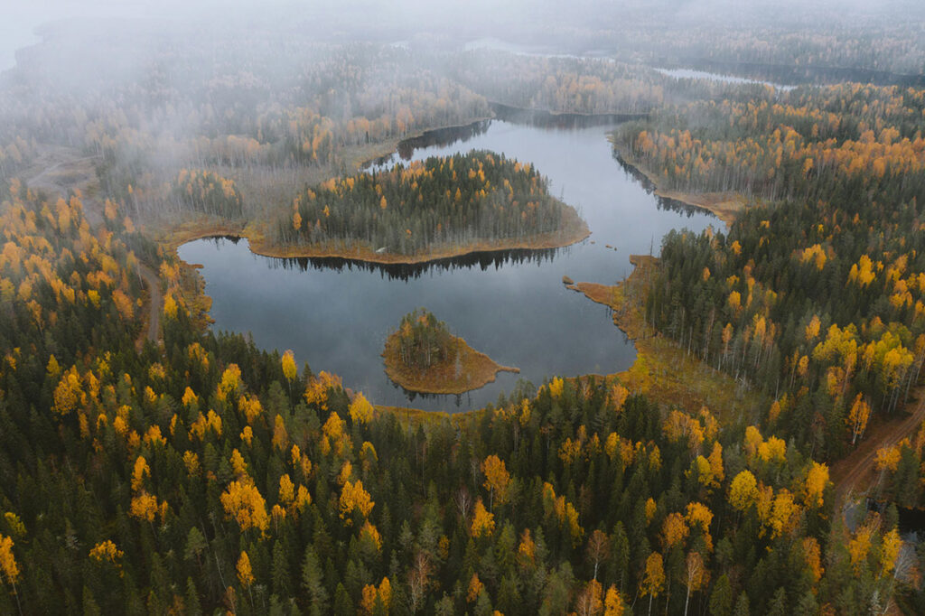 Autumn trees around lake